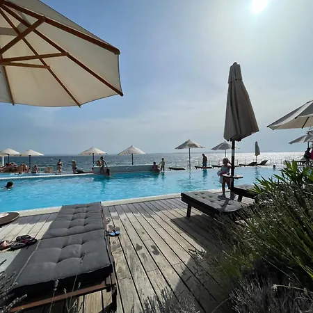 Apartment Punta *