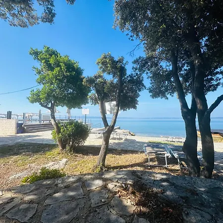 Apartment Punta
