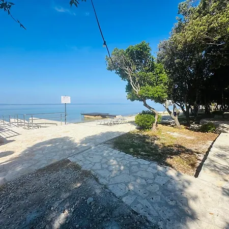 Apartment Punta